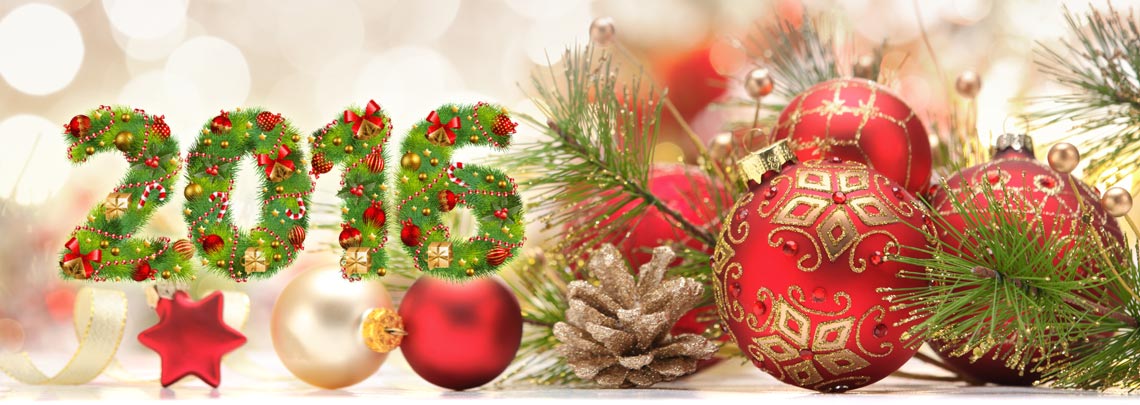 Отдых в Ленинградской области на новый год 2016